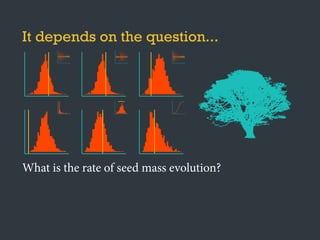 It depends on the question...
}
●
●
●
●
●
●
●
●
●
●
●
●●
●
●
●
●
●
●● ●
●
●
●
●
●●
●
●
●
●
●
●
●
●
●
●
●
●
●
●
●
●
●
●
●
●
●
●
●
●
●
●
●
●
●
●
●
●
●
●
●
●
●
●
●
●
●
●
●
●
●
●
●
●
●
●
●
●
●
●
●●
●
●
●●
●
●
●
●
●
●
●
●
●
●
●
●
●
●
●
●
●
●
●
●
●
●
●
●
●
●
●
●
●
●
●
● ●
●
●
●
●
●
●
●
●●
●
●
●
●
●
●
●
●
● ●
●
●
●
●
●
●
●
●
●
●
●
●
●
●
●
●
●
●
●
●
●
●
●
●●
●
●
●
●
●
●
●
●
● ●
●
●
●
●
●
●
●
●
●
●
●●
●
●
●
●
●
●
●
●
●
●●
●
●
●
●
●
●
●
●
●
●
●
●
●
●●
●
●
●
●
●
●● ●
●
●
●
●
●●
●
●
●
●
●
●
●
●
●
●
●
●
●
●
●
●
●
●
●
●
●
●
●
●
●
●
●
●
●
●
●
●
●
●
●
●
●
●
●
●
●
●
●
●
●
●
●
●
●
●
●
●
●
●
● ●
●
●
●●
●
●
●
●
●
●
●
●
●
●
●
●
●
●
●
●
●
●
●
●
●
●
●
●
●
●
●
●
●
●
●
● ●
●
●
●
●
●
●
●
●●
●
●
●
●
●
●
●
●
●●
●
●
●
●
●
●
●
●
●
●
●
●
●
●
●
●
●
●
●
●
●
●
●
●●
●
●
●
●
●
●
●
●
●●
●
●
●
●
●
●
●
●
●
●
●●
●
●
●
●
●
●
●
●
●
● ●
●
●
●
●
●
●
●
●
●
●
●
●
●
●●
●
●
●
●
●
●● ●
●
●
●
●
●●
●
●
●
●
●
●
●
●
●
●
●
●
●
●
●
●
●
●
●
●
●
●
●
●
●
●
●
●
●
●
●
●
●
●
●
●
●
●
●
●
●
●
●
●
●
●
●
●
●
●
●
●
●
●
●●
●
●
●●
●
●
●
●
●
●
●
●
●
●
●
●
●
●
●
●
●
●
●
●
●
●
●
●
●
●
●
●
●
●
●
● ●
●
●
●
●
●
●
●
●●
●
●
●
●
●
●
●
●
● ●
●
●
●
●
●
●
●
●
●
●
●
●
●
●
●
●
●
●
●
●
●
●
●
●●
●
●
●
●
●
●
●
●
● ●
●
●
●
●
●
●
●
●
●
●
●●
●
●
●
●
●
●
●
●
●
●●
●
●
What is the rate of seed mass evolution?
Single optimum OU model is very misleading
 