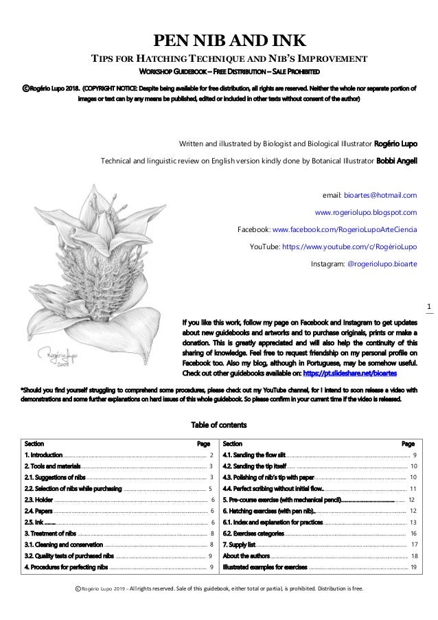 Pen Nib And Ink Guide To The Technique Of Hatching