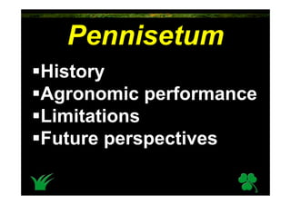Pennisetum
History
Agronomic performance
Limitations
Future perspectives
 