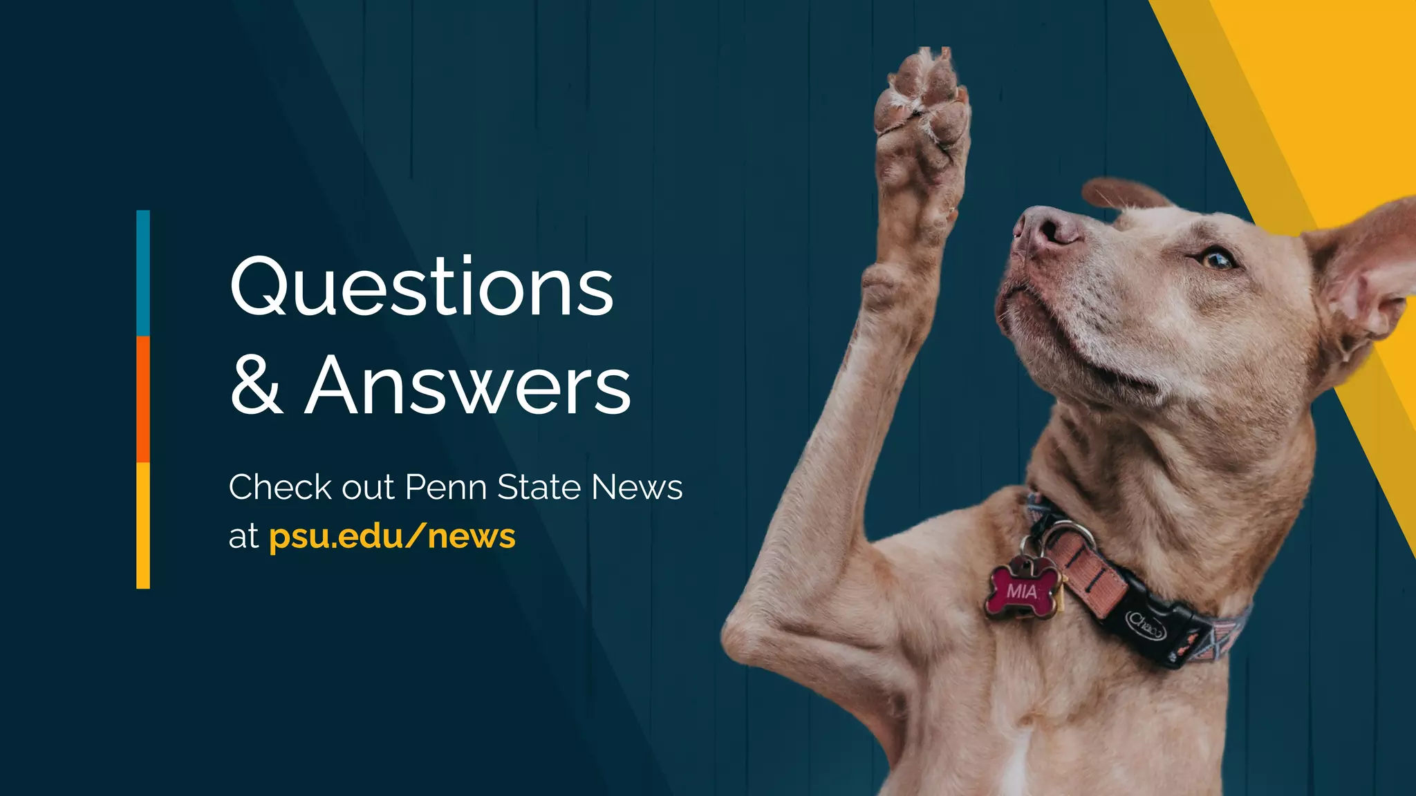 Questions
& Answers
Check out Penn State News
at psu.edu/news
 