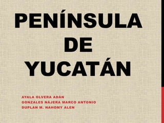PENÍNSULA
DE
YUCATÁN
AYALA OLVERA ADÁN
GONZALES NÁJERA MARCO ANTONIO
DUPLAN M. NAHOMY ALEN
 