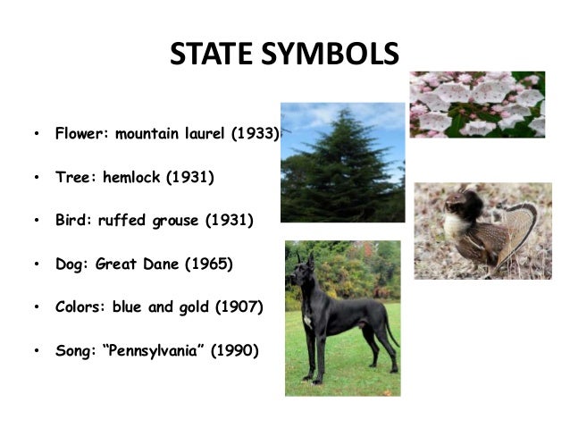 state