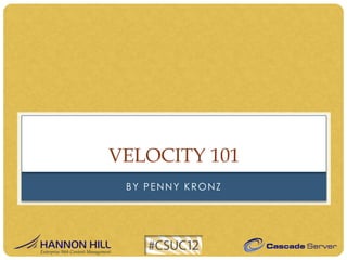 VELOCITY 101
 BY PENNY KRONZ
 