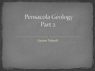 Gaines Tidwell  Pensacola Geology Part 2 