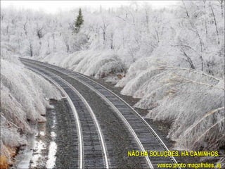NÃO HÁ SOLUÇÕES, HÁ CAMINHOS.  vasco pinto magalhães, sj 