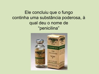 Ele concluiu que o fungo
continha uma substância poderosa, à
qual deu o nome de
“penicilina”
 