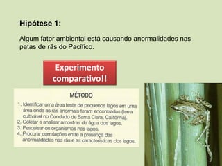 Hipótese 1:
Algum fator ambiental está causando anormalidades nas
patas de rãs do Pacífico.
Experimento
comparativo!!
 