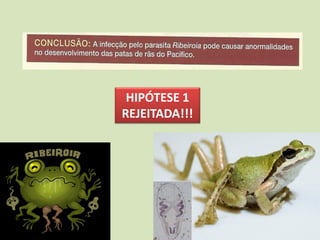 HIPÓTESE 1
REJEITADA!!!
 