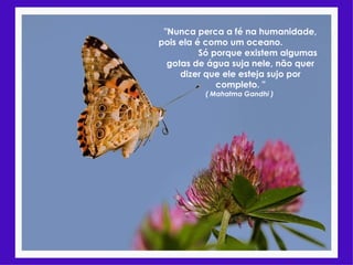 "Nunca perca a fé na humanidade, pois ela é como um oceano.  Só porque existem algumas gotas de água suja nele, não quer dizer que ele esteja sujo por completo. " ( Mahatma Gandhi )  