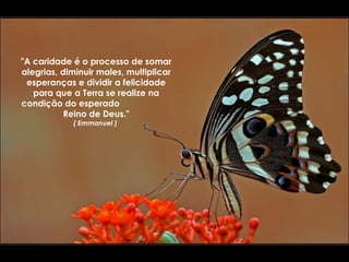 "A caridade é o processo de somar alegrias, diminuir males, multiplicar esperanças e dividir a felicidade para que a Terra se realize na condição do esperado  Reino de Deus." ( Emmanuel )  