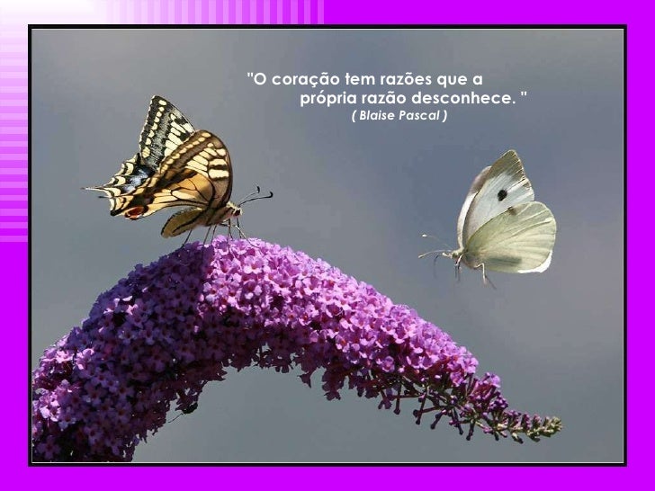 O Coração Tem Razões Que A Própria Razão Desconhece