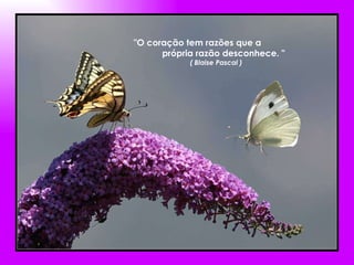 "O coração tem razões que a  própria razão desconhece. " ( Blaise Pascal ) 