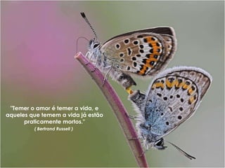 "Temer o amor é temer a vida, e aqueles que temem a vida já estão praticamente mortos." ( Bertrand Russell )   