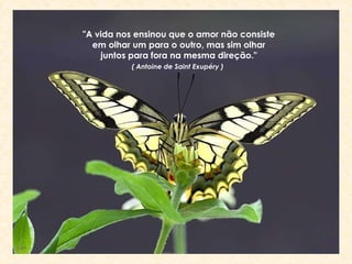 "A vida nos ensinou que o amor não consiste em olhar um para o outro, mas sim olhar juntos para fora na mesma direção." ( Antoine de Saint Exupéry )   