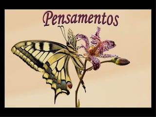 Pensamentos 