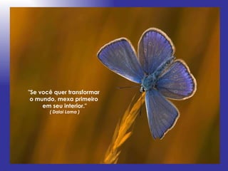 "Se você quer transformar  o mundo, mexa primeiro  em seu interior." ( Dalai Lama ) 