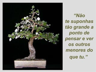 “ Não te suponhas tão grande a ponto de pensar e ver os outros menores do que tu.”   