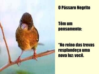 O Pássaro Negrito


Têm um
pensamento:


“No reino das trevas
resplandeça uma
nova luz: você.
 