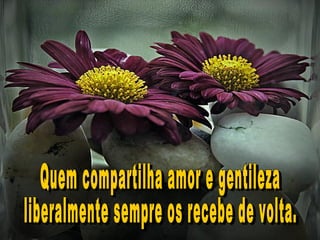 Quem compartilha amor e gentileza  liberalmente sempre os recebe de volta. 