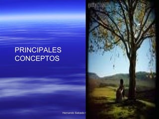PRINCIPALES   CONCEPTOS 