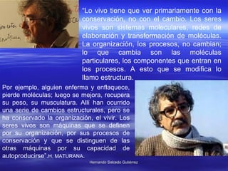 Por ejemplo, alguien enferma y enflaquece, pierde moléculas; luego se mejora, recupera su peso, su musculatura. Allí han ocurrido una serie de cambios estructurales, pero se ha conservado la organización, el vivir. Los seres vivos son máquinas que se definen por su organización, por sus procesos de conservación y que se distinguen de las otras máquinas por su capacidad de autoproducirse”. H. MATURANA . “ Lo vivo tiene que ver primariamente con la conservación, no con el cambio. Los seres vivos son sistemas moleculares, redes de elaboración y transformación de moléculas. La organización, los procesos, no cambian; lo que cambia son las moléculas particulares, los componentes que entran en los procesos. A esto que se modifica lo llamo estructura.  