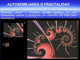 AUTOSEMEJANZA O FRACTALIDAD Escalas, pautas o comportamientos que si bien aparecen en una dimensión, campo o condición, también aparecen en otras dimensiones campos o condiciones, por diferentes que estos sean. (Mandelbrot)  
