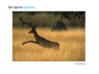 Ser agil es  aplicarlo... dinámica 