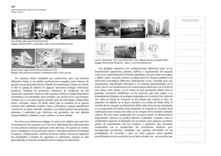 Mi Moleskine
.
.
.
.
.
.
.
.
.
.
.
.
.
.
.
.
.
120
Lógicas Proyectuales, Lógicas de la Creatividad
Cristian Terreno
Casa Smith 1965-1967 Connecticut.USA
Fuente: Richard Meier y Asociados http://www.richardmeier.com
Beach House 1998-2001Southern California. USA
Fuente: The American Institute of Architects http://www.aia.org
Un volumen básico trabajado por sustracción, pero con métricas
diferentes: hacia la vía pública perforaciones acotadas, sobre interior de
parcela con perforaciones hasta el límite de transformar el plano en virtual.
A ello se agrega la adición de algunos elementos (rampas chimeneas,
escaleras, voladizos de protección climática). Se configuran así dos
situaciones espaciales: hacia la calle espacios celulares/compartimentados
vinculados a las actividades más privadas o de servicio de la casa (dormir,
cocinar, etc.) y un gran espacio interior para las actividades compartidas
(estar, recrearse, comer) de doble altura que se continua en el espacio
exterior (con cualidades visuales: vistas a naturaleza o espacio ajardinado)
a través de un plano vidriado completo. Los límites tienen una geometría
abstracta y materiales que refuerzan esa geometría con una plástica
monocromática: el blanco, lo que confiere a la obra unidad.
En otros casos deberemos indagar no solo en los objetos sino más bien
en los procesos. Por ejemplo, en el caso de S. Hall donde las conformaciones
en una primera instancia aparecen como diversas, sin puntos en común,
pero si indagamos en los procesos vamos a descubrir maneras de trabajar
el espacio- configuración y métrica de forma similar, formas de organizar
las actividades o formas de organizar la realización, aunque lo más
generalizable no sean los resultados sino la manera de abordarlos.
Casa Y. NewCastle. USA- Casa Berkowitz. USA - Bloque Poroso Chengdú-China
Fuente: Steven Hall Architects - http:// www.stevenholl.com
Los ejemplos muestran tres configuraciones diferentes tanto en su
formalización (geometría, plástica, métrica y organización del espacio)
como en su materialización (vivienda suburbana, casa de verano en la playa
y edifico mixto vivienda colectiva+trabajo+servicos+Espacio público) con
soluciones tecnológicas diferentes (ballonframe en las viviendas pero con
tratamientos superficiales diferentes y un sistema industrializado en el
tercer caso) y con localizaciones de características diferentes (en la cima de
una colina, entre dunas y en el centro de una metrópolis china). Pero si
podemos encontrar similitudes en los procesos que dan origen a la
formalización (trabajo con analogías inspiradas en el contexto (los restos de
una rama en forma de horqueta de los árboles que rodean el sitio, un
esqueleto de ballena en la playa asociado a la novela de Moby Dick, la
revisión de un concepto occidental del edificio del centro de una metrópolis
y la recuperación del jardín chino inspirado en la poesía de un autor local
tradicional como remanso de calma en la vorágine de las actuales ciudades
chinas). Por otra parte analizando con un mayor grado de abstracción la
organización espacial se pueden detectar cualidades comunes como la
continuidad espacial, la búsqueda de secuencias para generar recorridos
plenos de experiencias con luz, texturas y aperturas, que muestran
continuidad con la arquitectura del movimiento moderno pero
incorporando geometrías complejas que aportan diversidad en las
posibilidades de recorrido y goce de estos espacios como también
incertidumbre en los recorridos (no sé bien a donde voy, un recorrido que
 
