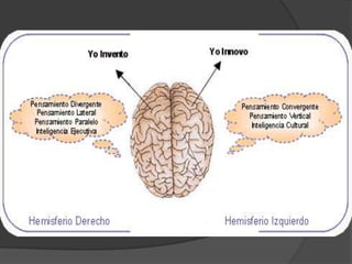 Pensamiento convergente y divergente