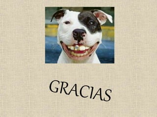 |Pensamiento convergente y divergente
