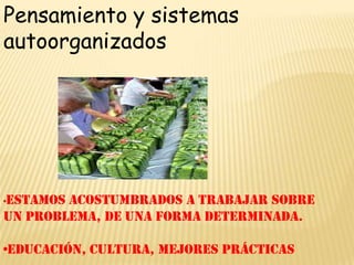 Pensamiento y sistemas autoorganizados•Estamos acostumbrados a trabajar sobre un problema, de una forma determinada.•Educación, cultura, mejores prácticas 