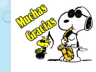 Pensamiento critico y creativo