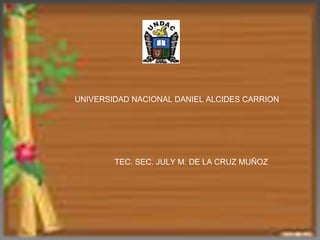 UNIVERSIDAD NACIONAL DANIEL ALCIDES CARRION TEC. SEC. JULY M. DE LA CRUZ MUÑOZ 