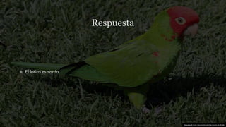 Esta foto de Autor desconocido está bajo licencia CC BY-SA
 