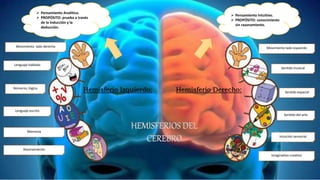 HEMISFERIOS DEL
CEREBRO
Hemisferio Derecho:
Hemisferio Izquierdo:
 Pensamiento Intuitivo.
 PROPÓSITO: conocimiento
sin razonamiento.
 Pensamiento Analítico.
 PROPÓSITO: prueba a través
de la inducción y la
deducción.
Movimiento lado derecho
Lenguaje hablado
Números, lógica
Lenguaje escrito
Memoria
Razonamiento
Imaginativo creativo
Intuición sensorial
Sentido del arte
Sentido espacial
Sentido musical
Movimiento lado izquierdo
 