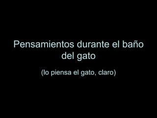 Pensamientos durante el baño del gato (lo piensa el gato, claro) 