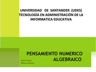 PENSAMIENTO NUMERICO   ALGEBRAICO UNIVERSIDAD  DE  SANTANDER  (UDES) TECNOLOGÍA EN ADMINISTRACIÓN DE LA INFORMATICA EDUCATIVA 