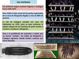 Los esclavos 
Los primeros negros esclavos llegaron a Cubagua 
hacia 1526-1527. 
Para 1530 el valor anual de las perlas exportadas 
de la zona de Margarita llegaba a más de 800 mil 
piastras. 
La isla de Cubagua contaba con unos mil 
habitantes en 1531, pero ya para entonces el 
rápido colapso de las cosechas de perla motivó a 
muchos a mudarse a Margarita. 
Pese a la prohibición de esclavizar a indios que 
no fueran "caribes", los indios de Margarita y 
Cubagua siguieron siendo hechos esclavos por 
varias décadas. 
 