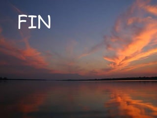 FIN 