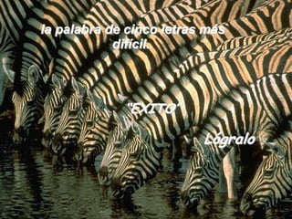 la palabra de cinco letras más difícil..“EXITO”Lógralo