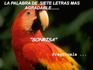 LA PALABRA DE SIETE LETRAS MAS AGRADABLE......."SONRISA"Practícala ...