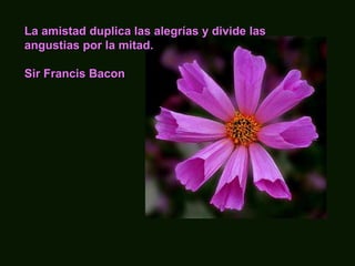 La amistad duplica las alegrías y divide las angustias por la mitad. Sir Francis Bacon   