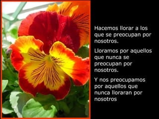 Hacemos llorar a los que se preocupan por nosotros. Lloramos por aquellos que nunca se preocupan por nosotros. Y nos preocupamos por aquellos que nunca lloraran por nosotros 