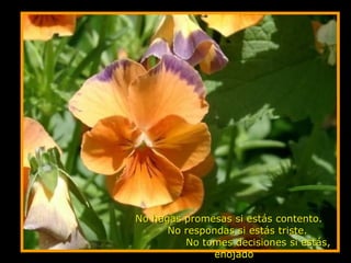 No hagas promesas si estás contento.  No respondas si estás triste.  No tomes decisiones si estás, enojado 