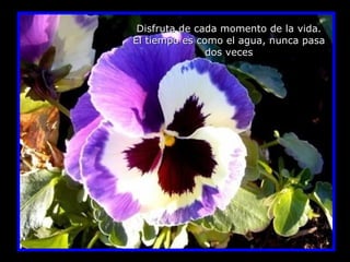 Disfruta de cada momento de la vida. El tiempo es como el agua, nunca pasa dos veces 