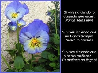 Si vives diciendo lo ocupado que estás:  Nunca serás libre Si vives diciendo que no tienes tiempo:  Nunca lo tendrás Si vives diciendo que lo harás mañana:  Tu mañana no llegará 