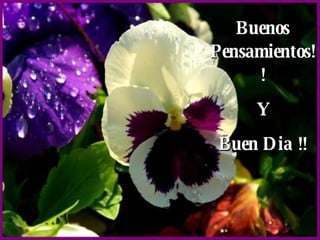 Buenos Pensamientos!! Y Buen Dia !! 