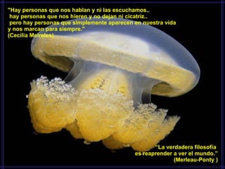 "Hay personas que nos hablan y ni las escuchamos..   hay personas que nos hieren y no dejan ni cicatriz..   pero hay personas que simplemente aparecen en nuestra vida  y nos marcan para siempre."   (Cecília Meireles)    “ La verdadera filosofía  es reaprender a ver el mundo.”   (Merleau-Ponty ) 