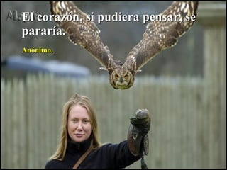 El corazón, si pudiera pensar, se pararía. Anónimo. 