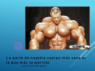 L a par te de n uestr o cuer po m ás san a es
la que m ás se ejer cita .
S én eca ( escr itor la tin o)
 